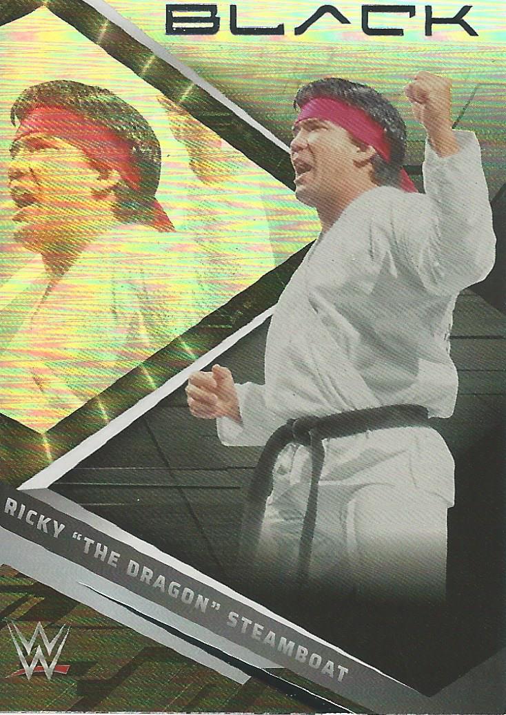 WWE Panini Chronicles 2023 Trading Cards Ricky Steamboat No.209