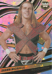 WWE Panini Revolution 2022 Trading Cards Shawn Michaels No.110 ASTRO