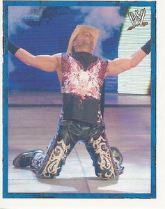 WWE Merlin Heros 2008 Stickers Shawn Michaels No.36