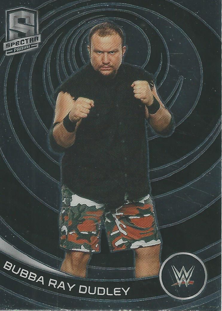 WWE Panini Chronicles 2023 Trading Cards Bubba Ray Dudley No.386