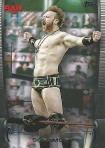 WWE Topps Undisputed 2021 Trading Cards Sheamus No.25