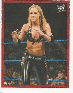 WWE Merlin Heros 2008 Stickers Michelle McCool No.44