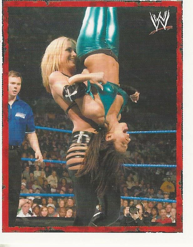 WWE Merlin Heros 2008 Stickers Michelle McCool No.45