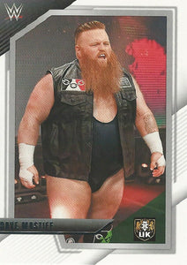 WWE Panini NXT 2022 Trading Cards Dave Mastiff No.28