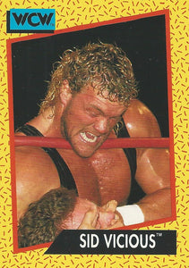 WCW Impel 1991 Trading Cards Sid Vicious No.29