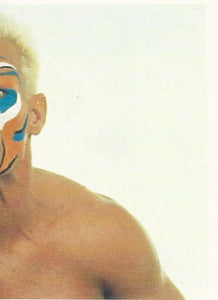 Euroflash WCW 1992 Sticker Collection Sting No.2