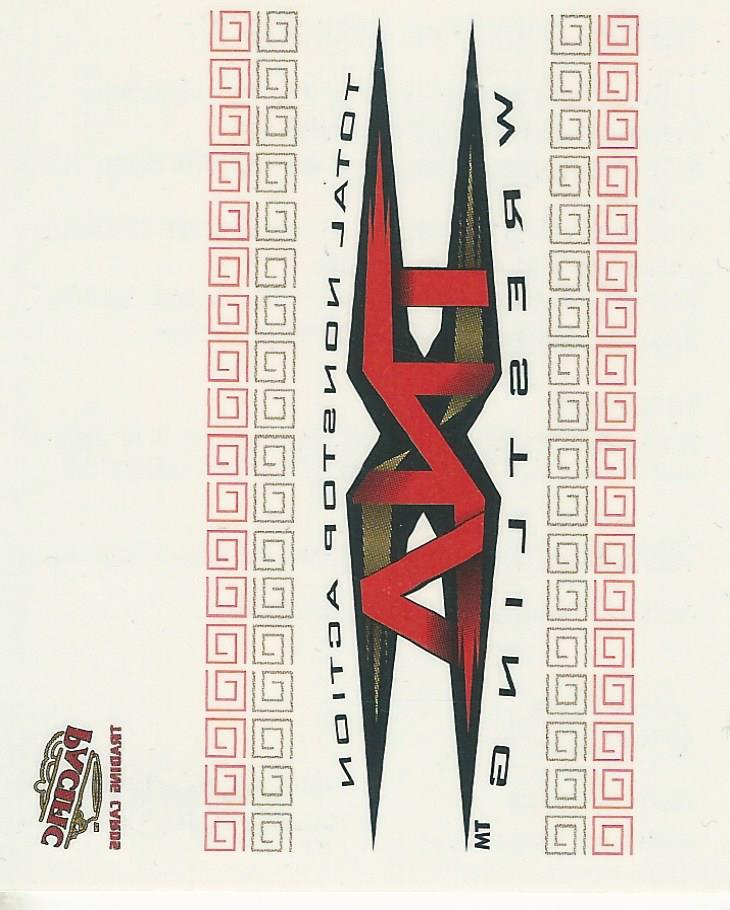 TNA Pacific Tattoo Transfer Logo No.2