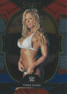 WWE Panini Select 2023 Trading Cards Red/Silver/Blue Torrie Wilson No.41