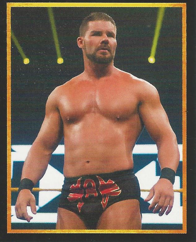 WWE Topps Stickers 2017 Bobby Roode No.32