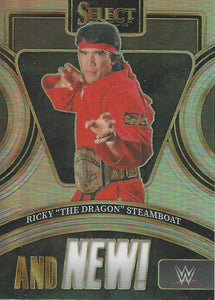 WWE Panini Select 2024 Trading Cards And New Ricky Steamboat No.12