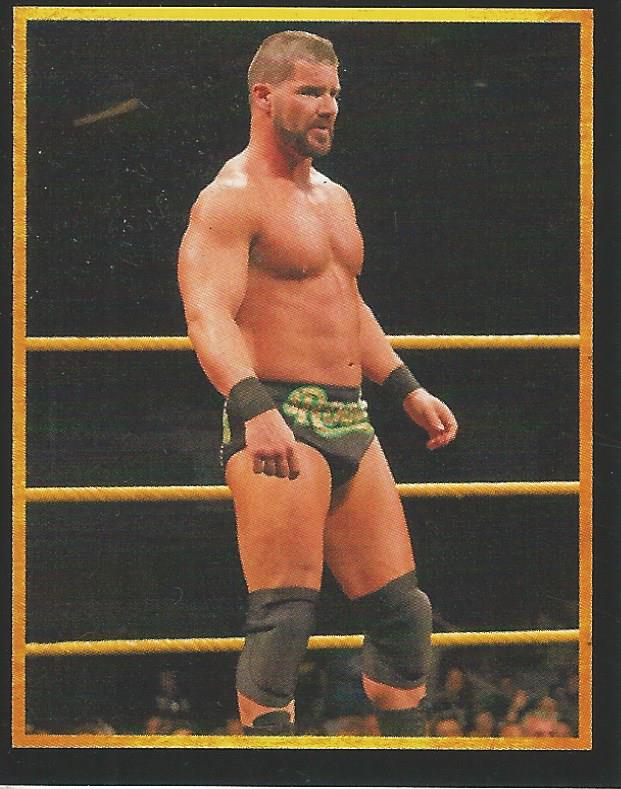 WWE Topps 2017 Stickers Bobby Roode No.34