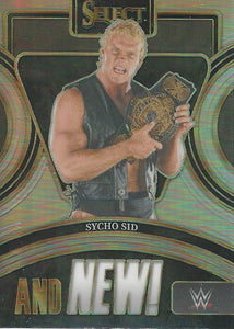 WWE Panini Select 2024 Trading Cards And New Sycho Sid No.18