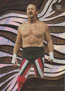 WWE Panini Revolution 2023 Trading Cards Terry Funk No.120