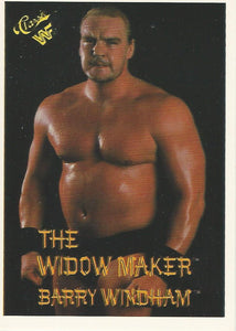 WWF Classic Trading Cards 1990 Barry Windham No.42