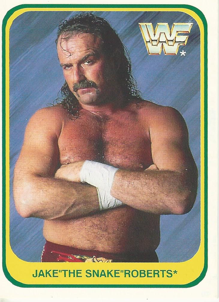 WWF Merlin 1991 Trading Cards Jake the Snake Roberts No.42