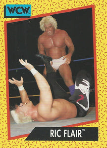 WCW Impel 1991 Trading Cards Ric Flair No.43