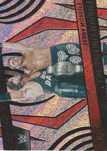 WWE Panini Revolution 2022 Trading Cards Diesel and Shawn Michaels No.147