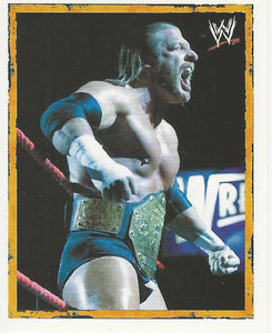 WWE Melrin Heros 2008 Stickers Triple H P6