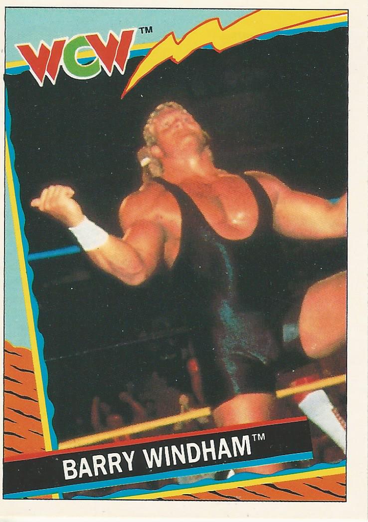 WCW Topps 1992 Trading Cards Barry Windham (Sid Vicious) No.45