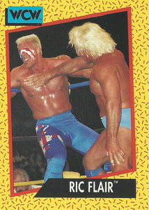 WCW Impel 1991 Trading Cards Ric Flair No.46