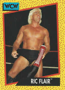 WCW Impel 1991 Trading Cards Ric Flair No.47