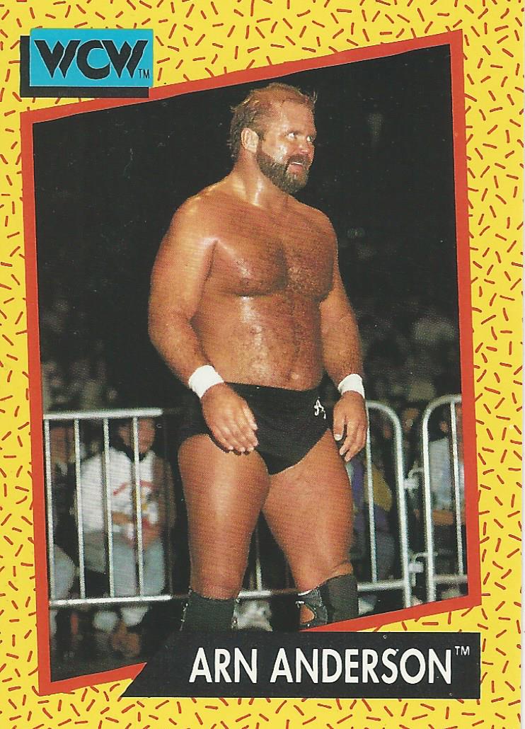 WCW Impel 1991 Trading Cards Arn Anderson No.48