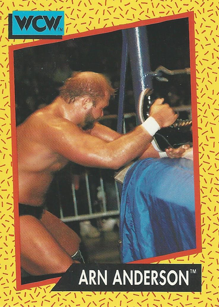 WCW Impel 1991 Trading Cards Arn Anderson No.49