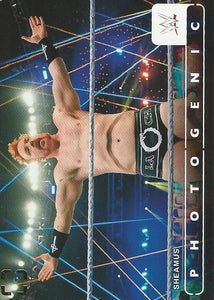 WWE Panini Photogenic 2024 Trading Cards Sheamus No.4