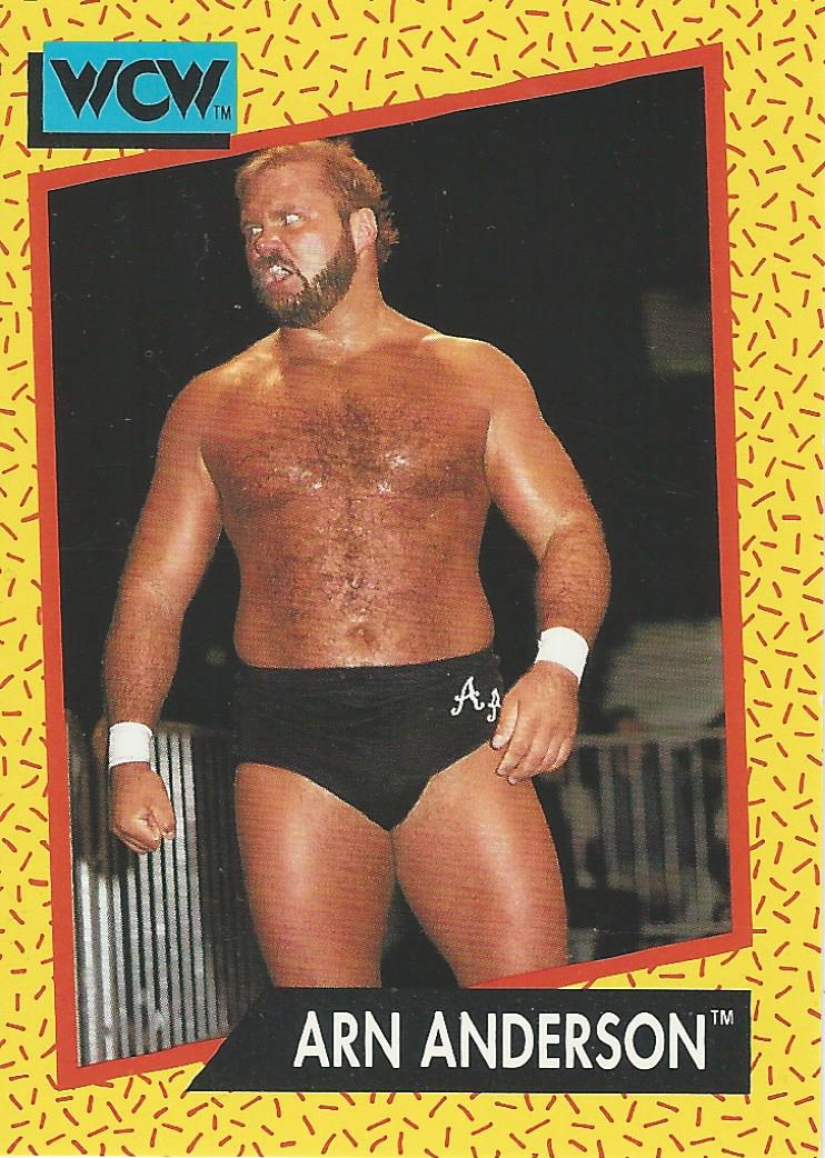 WCW Impel 1991 Trading Cards Arn Anderson No.50