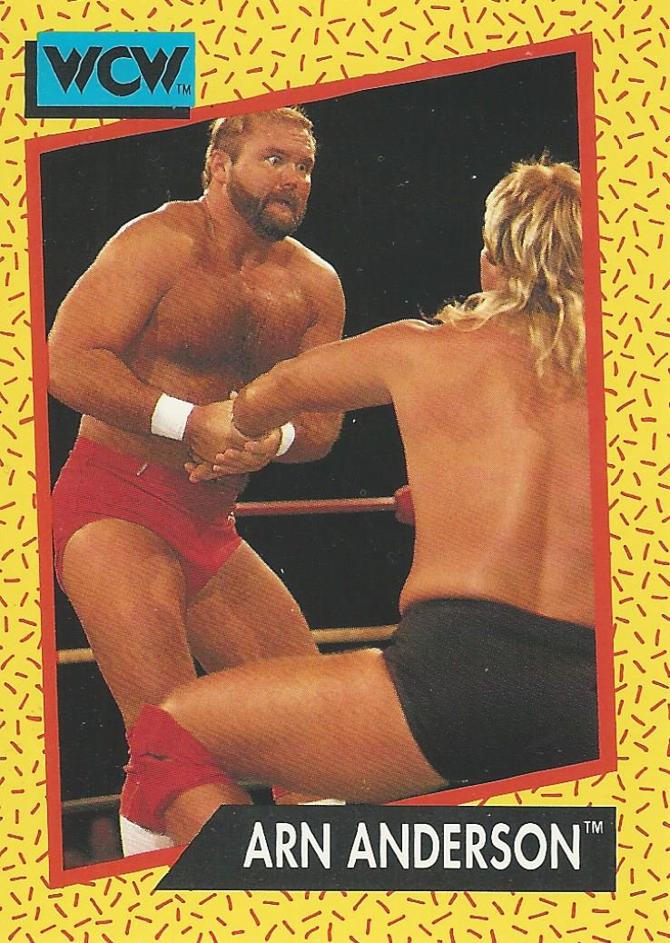 WCW Impel 1991 Trading Cards Arn Anderson No.51