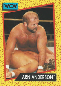 WCW Impel 1991 Trading Cards Arn Anderson No.52