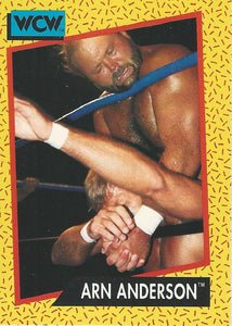 WCW Impel 1991 Trading Cards Arn Anderson No.54