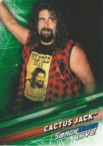 WWE Topps Smackdown 2019 Trading Cards Mick Foley No.67 Green