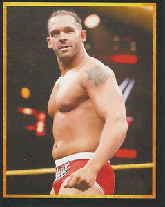 WWE Topps 2017 Stickers Tye Dillinger No.57