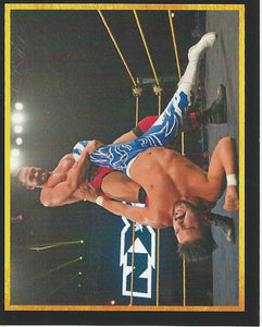 WWE Topps 2017 Stickers Tye Dillinger No.58