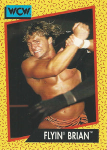 WCW Impel 1991 Trading Cards Brian Pillman No.59