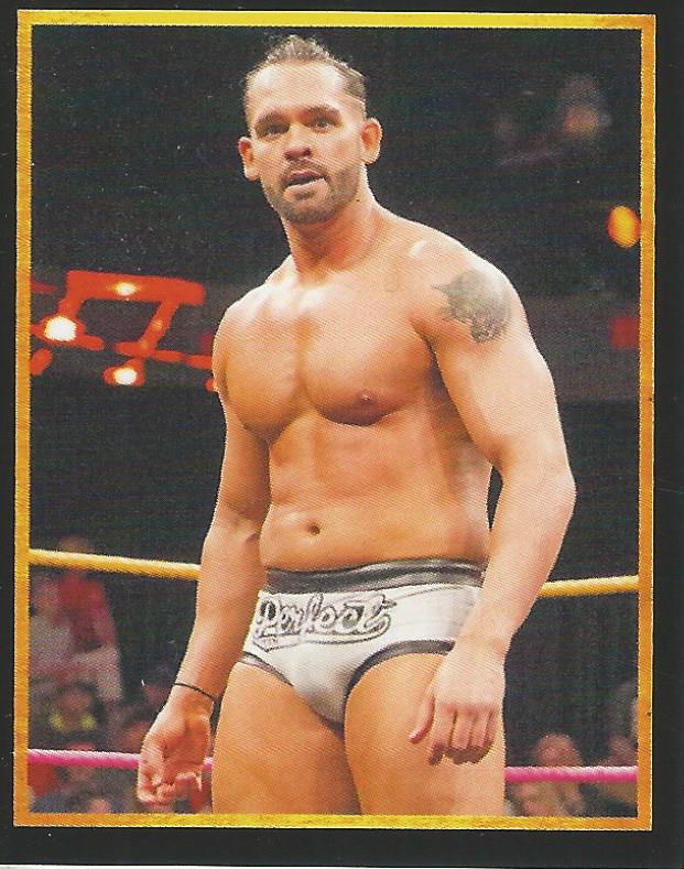 WWE Topps 2017 Stickers Tye Dillinger No.60