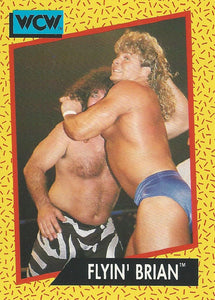 WCW Impel 1991 Trading Cards Brian Pillman No.60