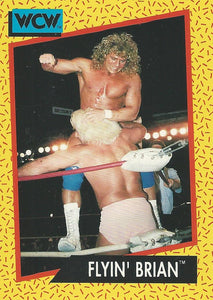 WCW Impel 1991 Trading Cards Brian Pillman No.61