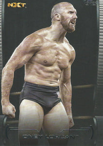 WWE Topps Undisputed 2021 Trading Cards Oney Lorcan No.62