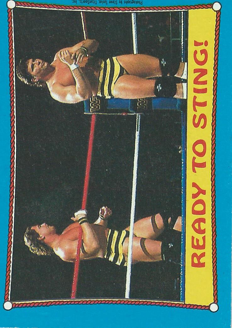 Topps WWF Wrestling Cards 1987 Killer Bees No.62