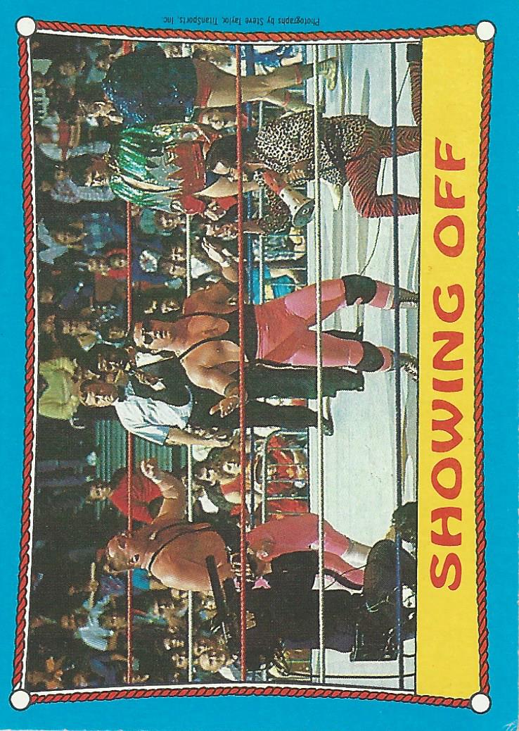 Topps WWF Wrestling Cards 1987 Bret Hart No.63