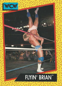 WCW Impel 1991 Trading Cards Brian Pillman No.63