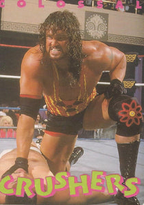 WWF Action Packed 1994 Trading Cards Adam Bomb No.32