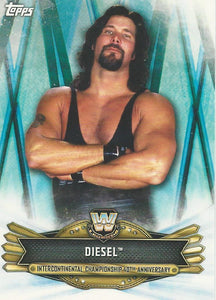 WWE Topps Raw 2019 Trading Cards Diesel IC-13