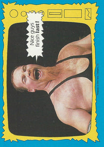 Topps WWF Wrestling Cards 1987 Jim Neidhart No.67