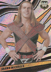 WWE Panini Revolution 2022 Trading Cards Shawn Michaels No.110