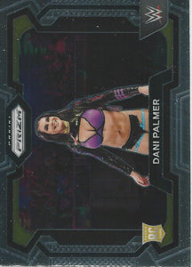 WWE Panini Prizm 2024 Trading Cards Dani Palmer No.68