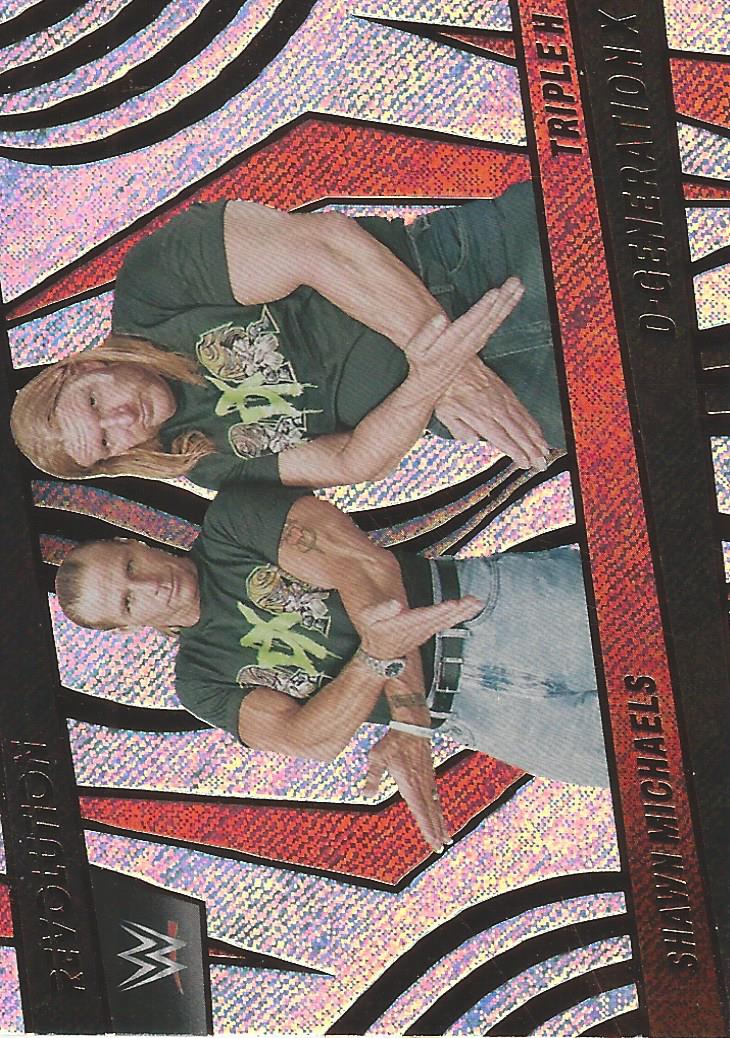 WWE Panini Revolution 2022 Trading Cards Shawn Michaels and Triple H No.134