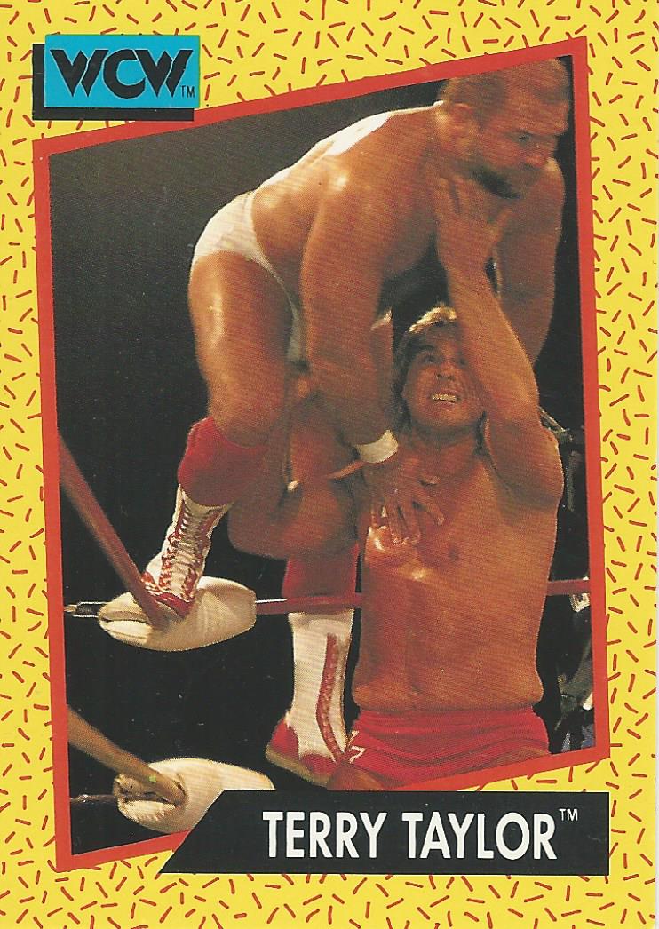 WCW Impel 1991 Trading Cards Terry Taylor No.70